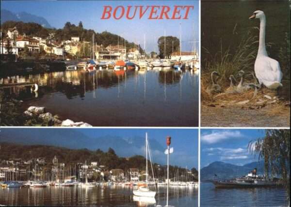 Bouveret Schwan Schiff