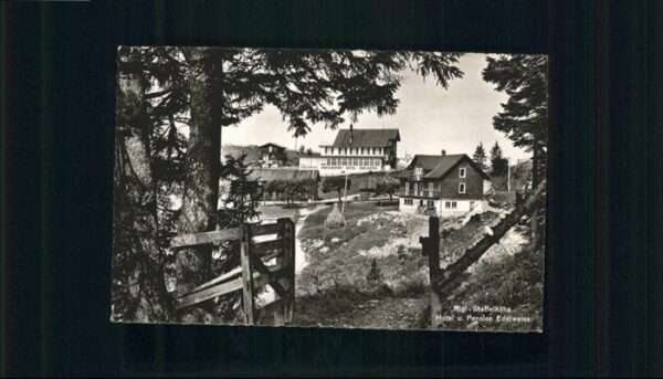 Rigi-Staffel Hotel Pension Edelweiss