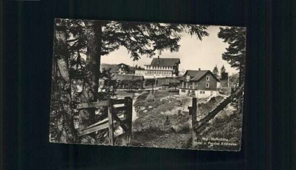 Rigi-Staffel Hotel Pension Edelweiss