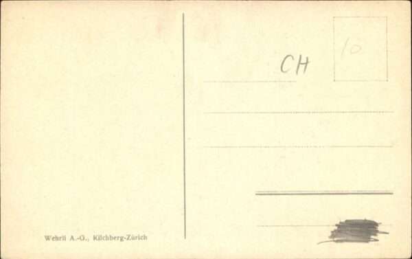 Lugano TI Via Pessina Kühe – Bild 2