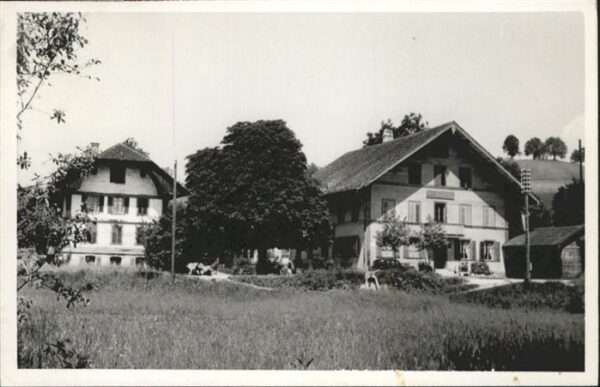 Zuerich Fischlikon