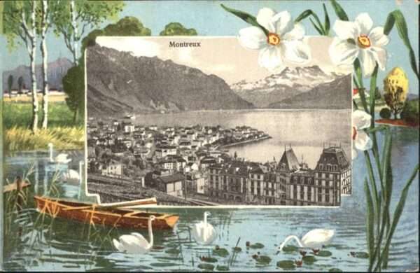 Montreux VD Blume Schwan Boot