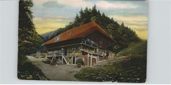 Schwarzwaldhaeuser