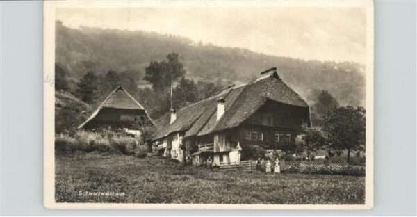 Schwarzwaldhaeuser