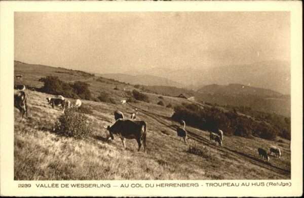 Herrenberg Vallee de Wesserling Troupia au Hus