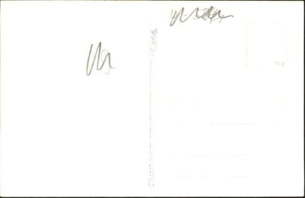 Maurach eiben – Bild 2