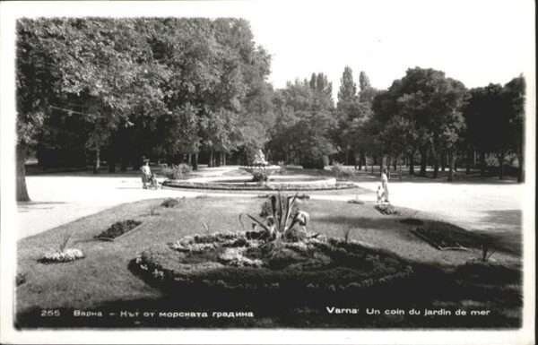 Baph Varna