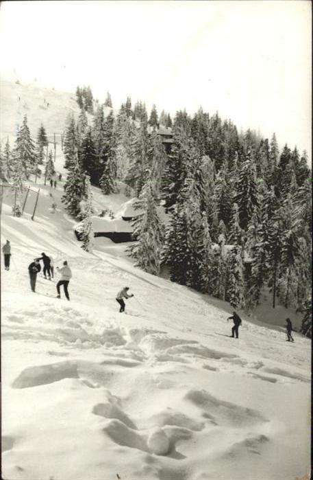 Peisaj Winter Ski