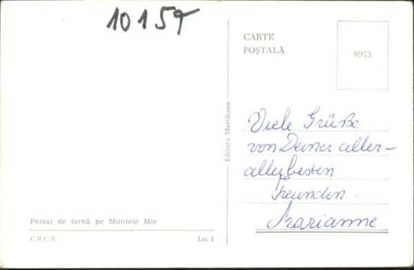 Peisaj Winter Ski – Bild 2