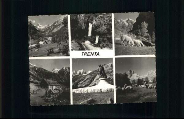 Trenta Schafe