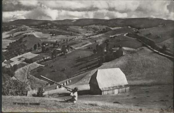 Rodei In Munt