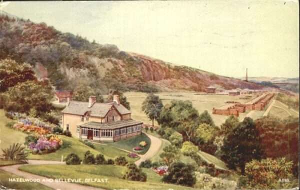 Belfast Hazelwood Bellevue