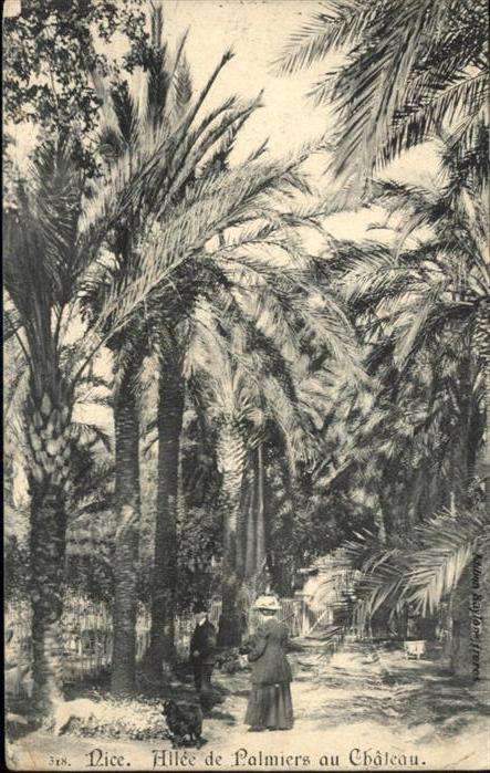 Nice Alpes Maritimes Allee Palmiers Chateau