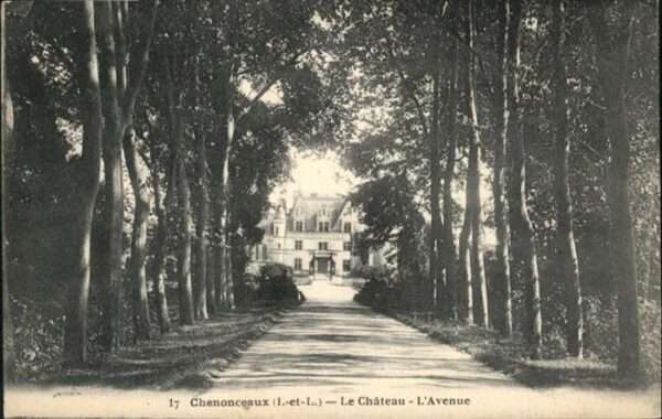 Chenonceaux Chateau Avenue