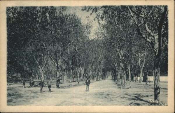 Beaucaire Gard
