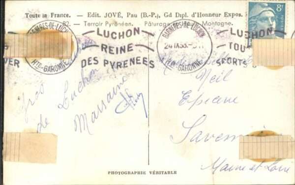 Luchon Haute-Garonne Schafe – Bild 2