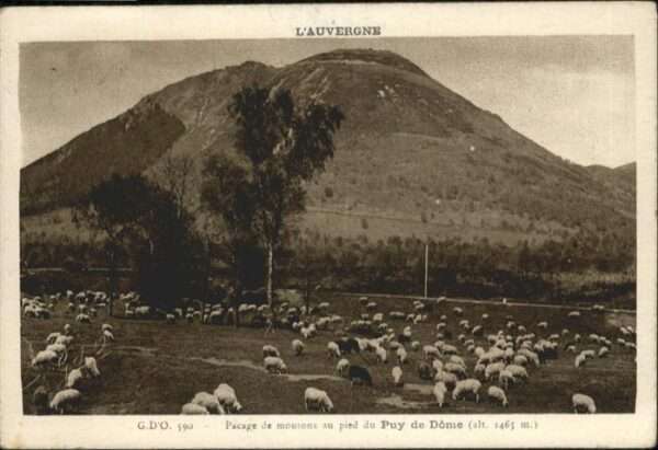Puy-de-Dome Pacage de moutons
Auvergne