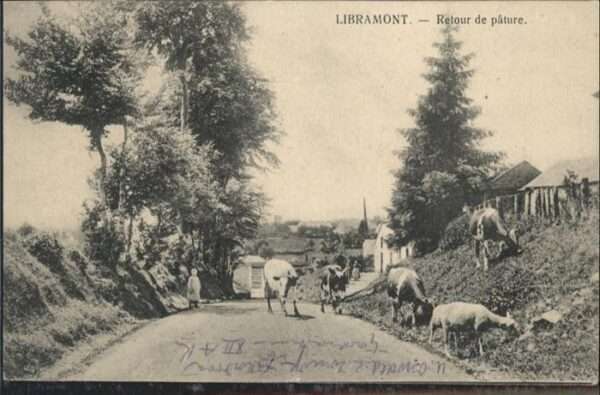 Libramont Retoure de Pature