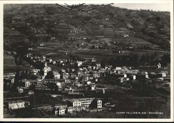 Torre Pellice m. 516 Ansicht