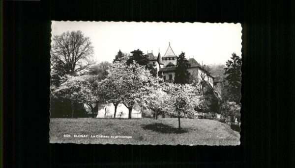 Blonay Chateau
