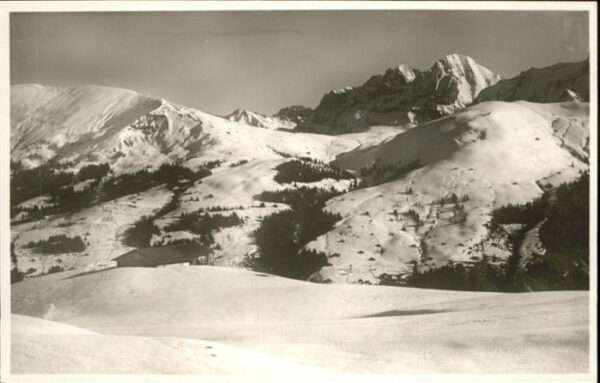 Lenk Simmental