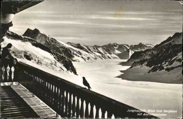 Jungfraujoch Aletschgletscher