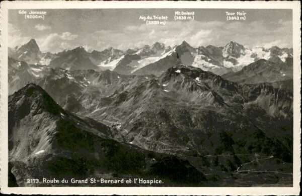 Grand St Bernard