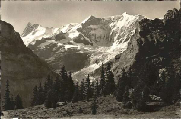 Grindelwald Finsteraarhorn Fiescherhörner