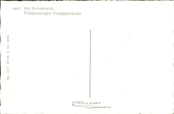 Grindelwald Finsteraarhorn Fiescherhörner – Bild 2