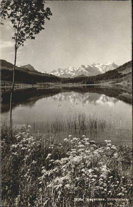 Urirotstock Aegerisee