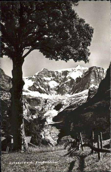 Grindelwald Fiescherhörner