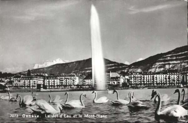 Geneve GE Schwanz Frontäine Mont Blanc