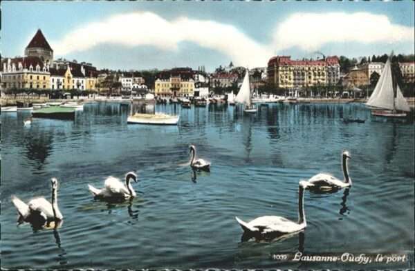 Lausanne VD Schwan Boot Port