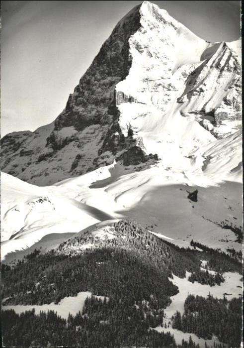 Kleine Scheidegg Interlaken Wengernalp Eiger