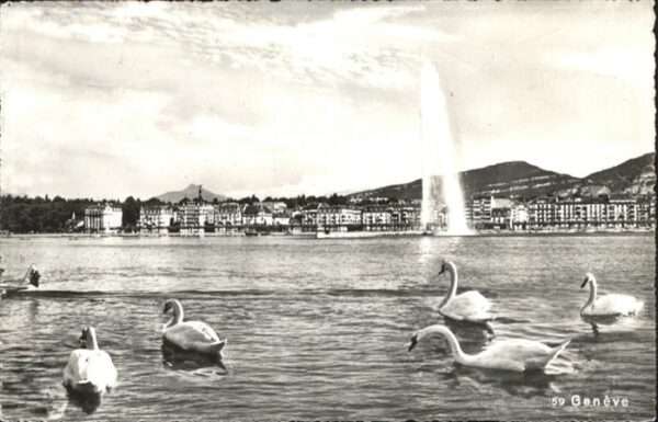 Geneve GE Schwan