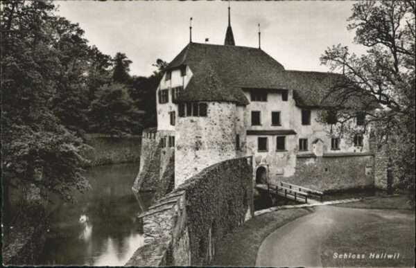 Hallwil Schloss