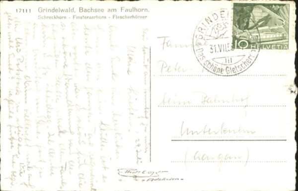 Grindelwald Bachsee Faulhorn Kühe – Bild 2