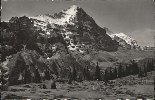 Grindelwald Bussalp Eiger Jungfrau