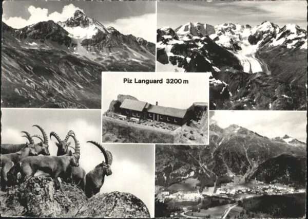Piz Languard Restaurant Piz Languard