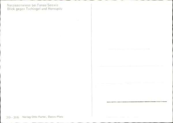 Fanas Narzissenwiese – Bild 2