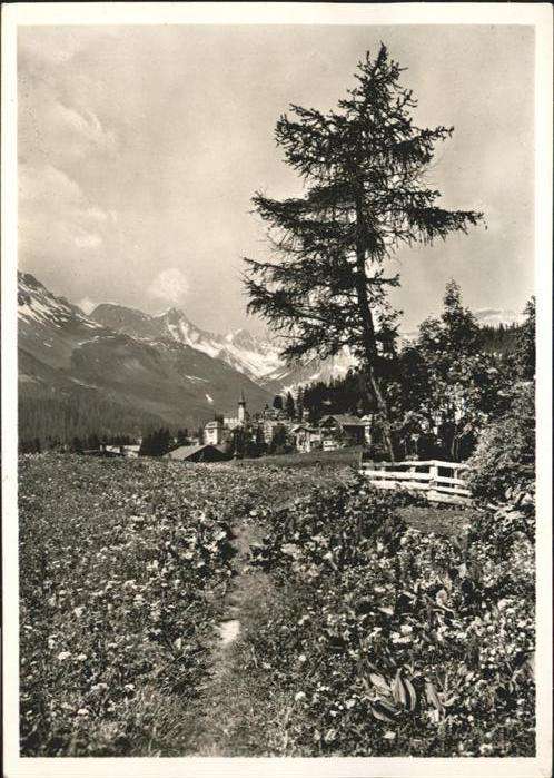 Arosa GR