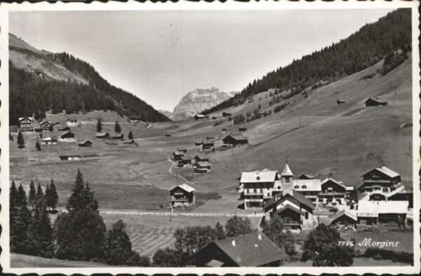 Morgins