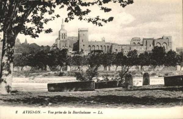 Avignon Vaucluse vue prise de la Barthelasse