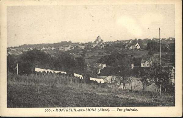 Montreuil-aux-Lions Vue generale