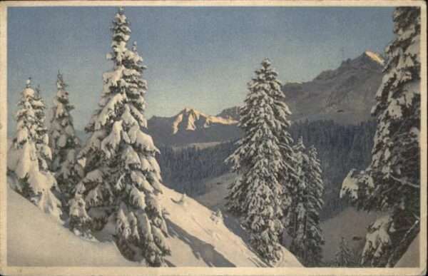 Adelboden Bergtannen Bunderspitz Grosslonner