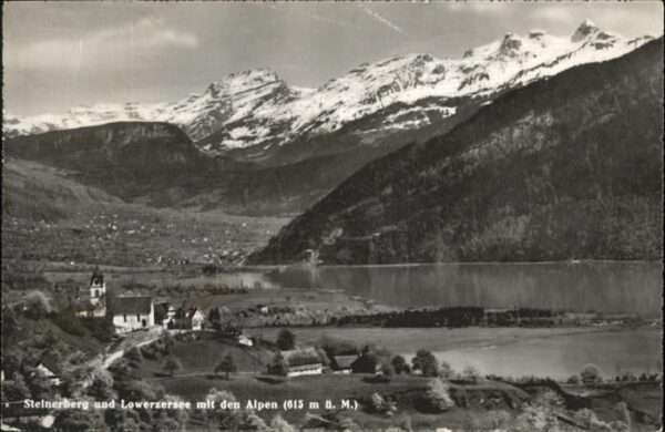 Steinerberg Lowerzersee Alpen