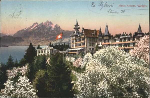 Weggis Vierwaldstaettersee Hotel Albana