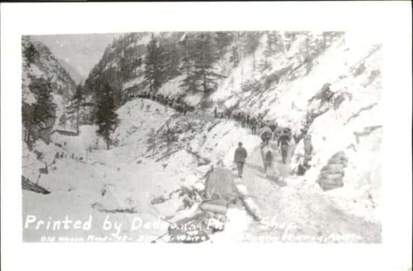 Skagway Repro
