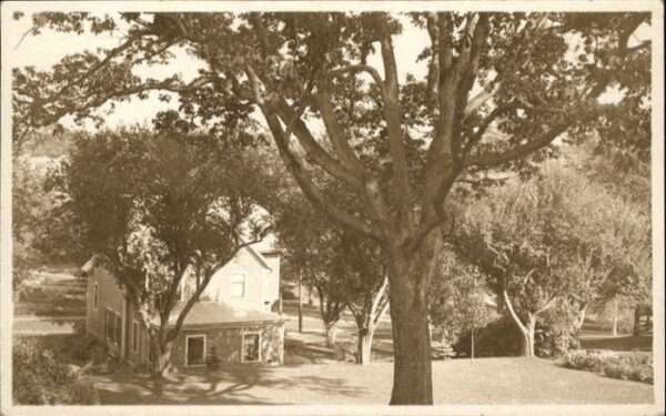 Greenfield California [Handschriftlich]