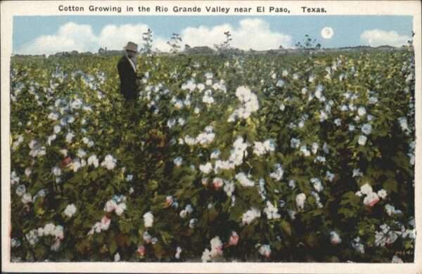 El Paso Texas Rio Grande Valley